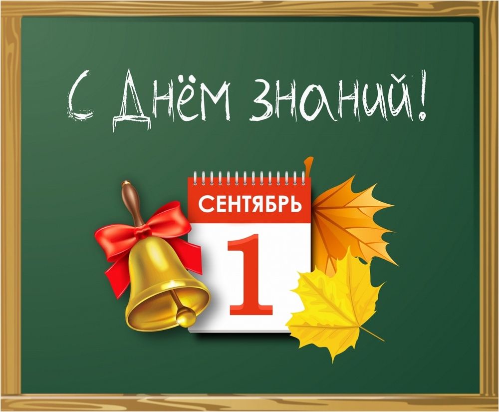 Кот поймал Дзэн: питомец от души повеселил сеть, когда максимально расслабился (Видео)